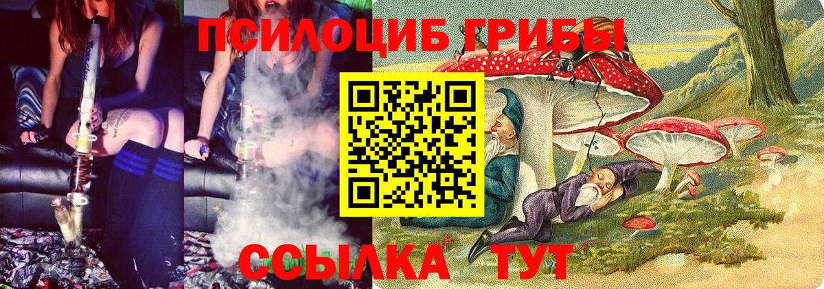 Псилоцибиновые грибы Cubensis Санкт-Петербург