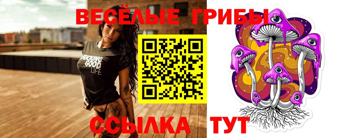 Псилоцибиновые грибы GOLDEN TEACHER  Вход с VPN  Санкт-Петербург 